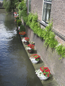 907817 Afbeelding van de plantenbakken op een vlonder langs het Zwarte Water te Utrecht, bij de monding in de Vecht, ...